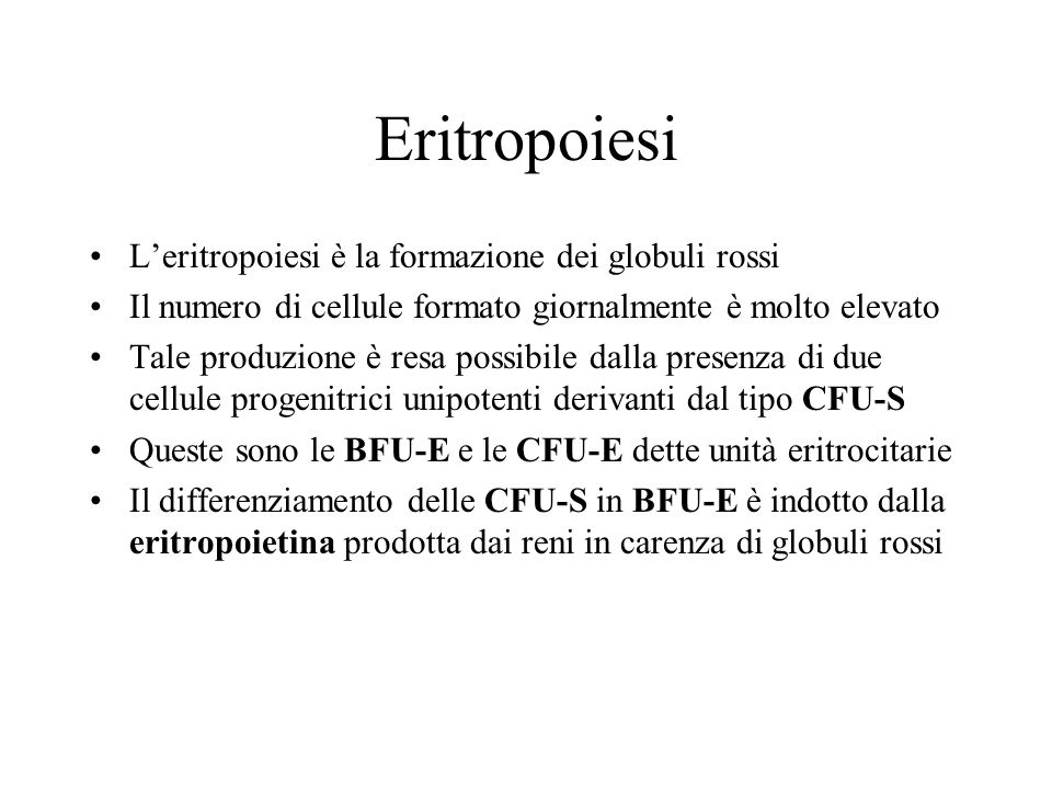 Eritropoiesi L’eritropoiesi è la formazione dei globuli rossi