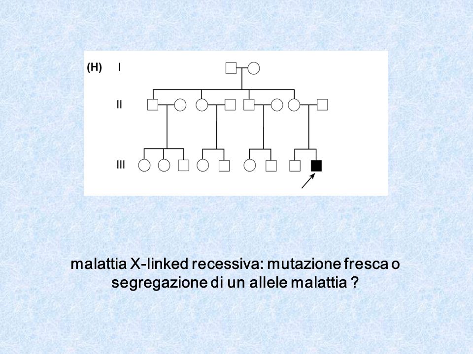 malattia X-linked recessiva: mutazione fresca o segregazione di un allele malattia