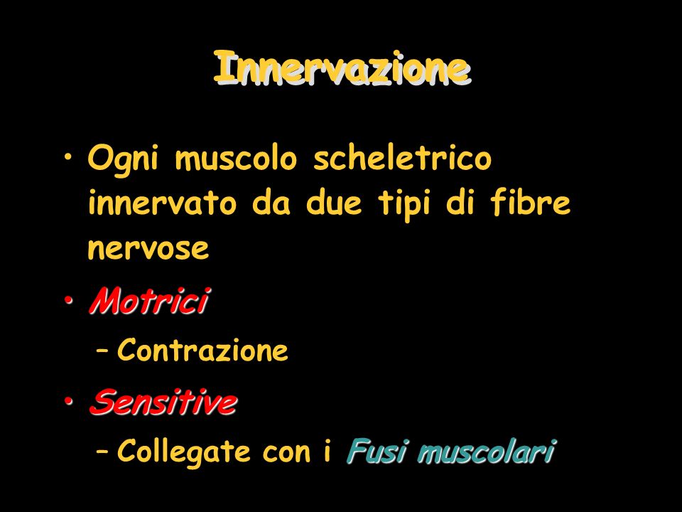 Innervazione Ogni muscolo scheletrico innervato da due tipi di fibre nervose. Motrici. Contrazione.