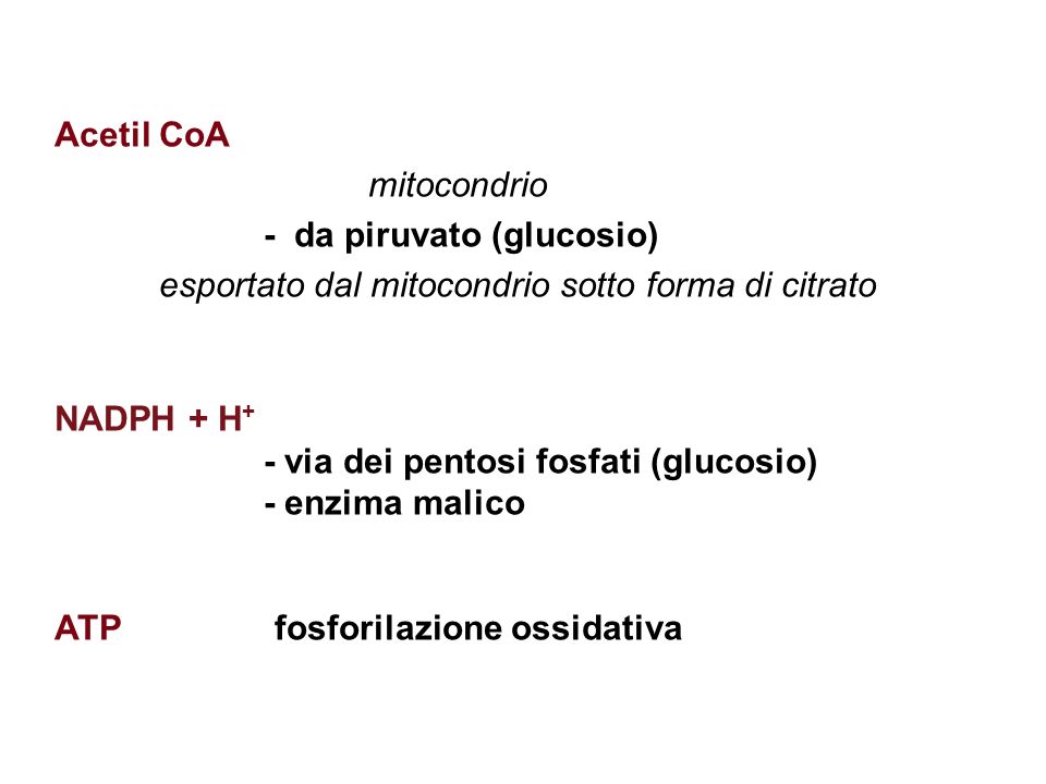 Acetil CoA mitocondrio. - da piruvato (glucosio) esportato dal mitocondrio sotto forma di citrato.