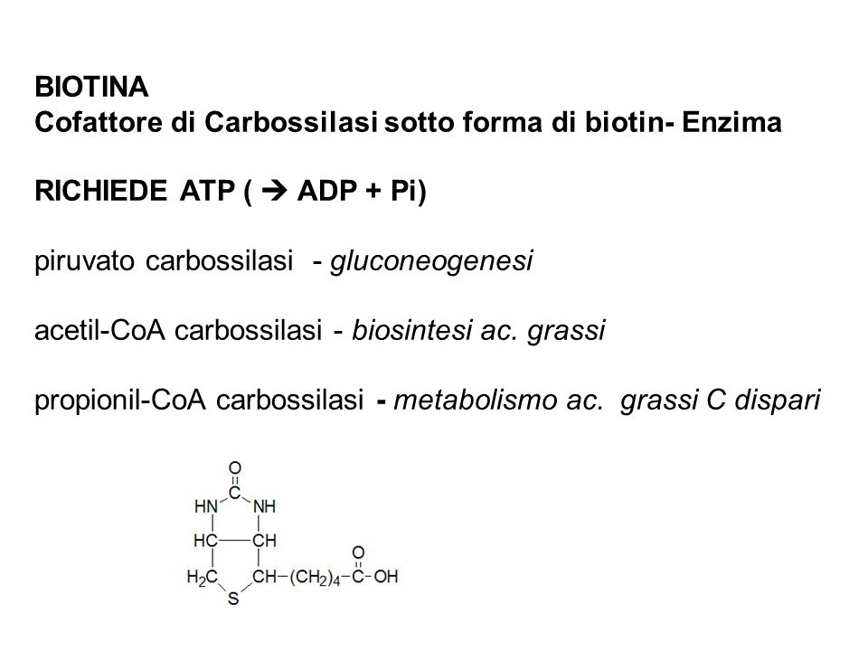 BIOTINA Cofattore di Carbossilasi sotto forma di biotin- Enzima. RICHIEDE ATP (  ADP + Pi) piruvato carbossilasi - gluconeogenesi.