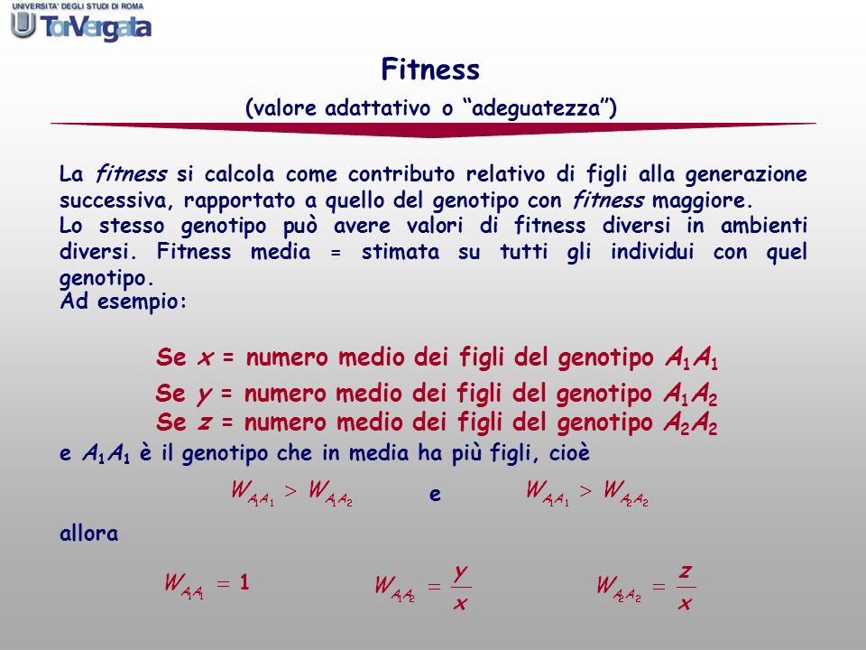 Fitness Se x = numero medio dei figli del genotipo A1A1