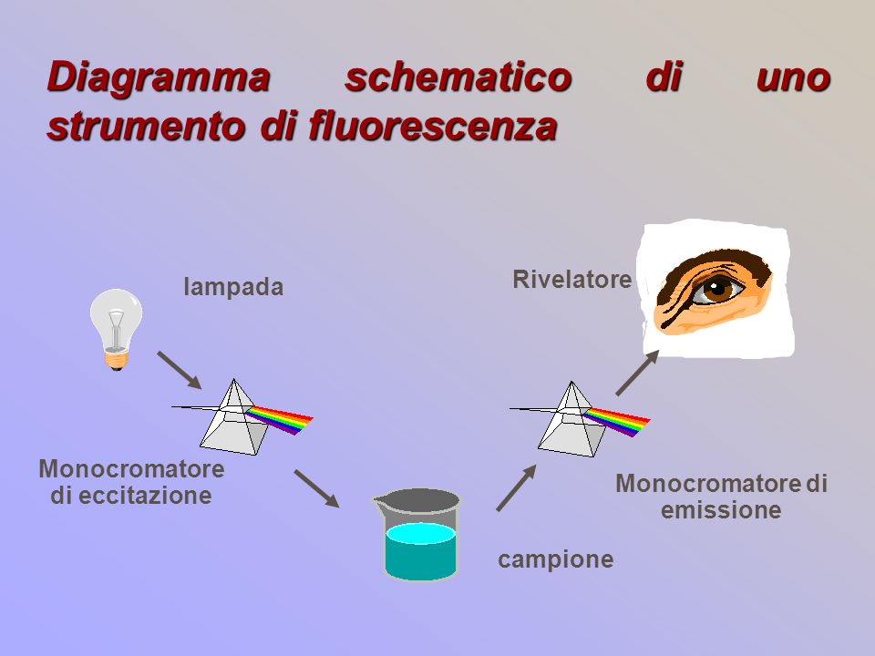 Diagramma schematico di uno strumento di fluorescenza