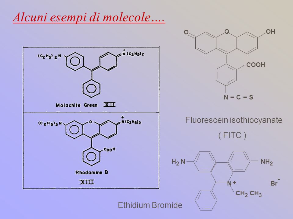 Alcuni esempi di molecole….