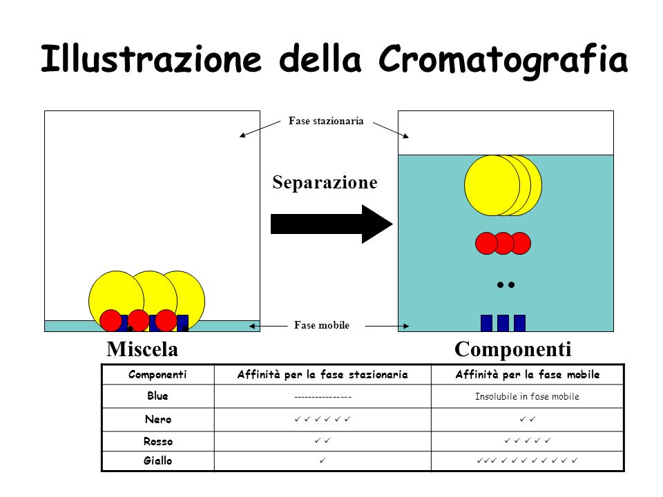 Illustrazione della Cromatografia