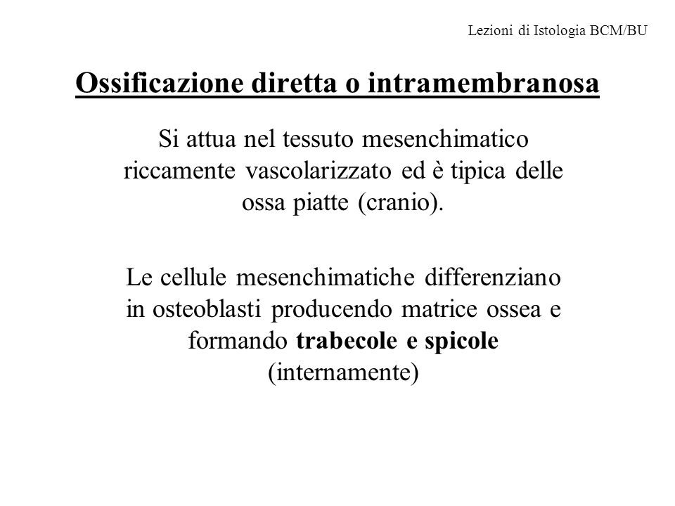 Ossificazione diretta o intramembranosa