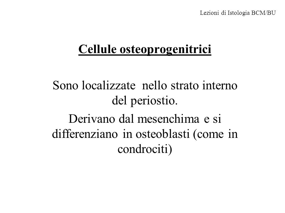 Cellule osteoprogenitrici