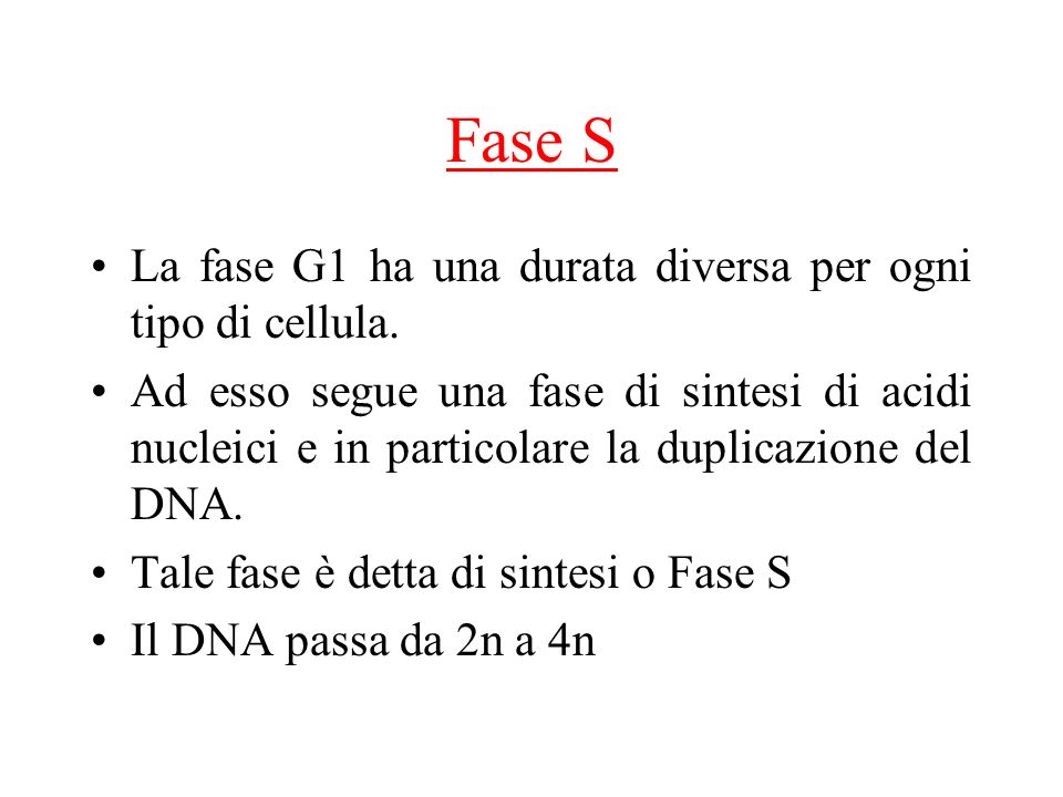Fase S La fase G1 ha una durata diversa per ogni tipo di cellula.