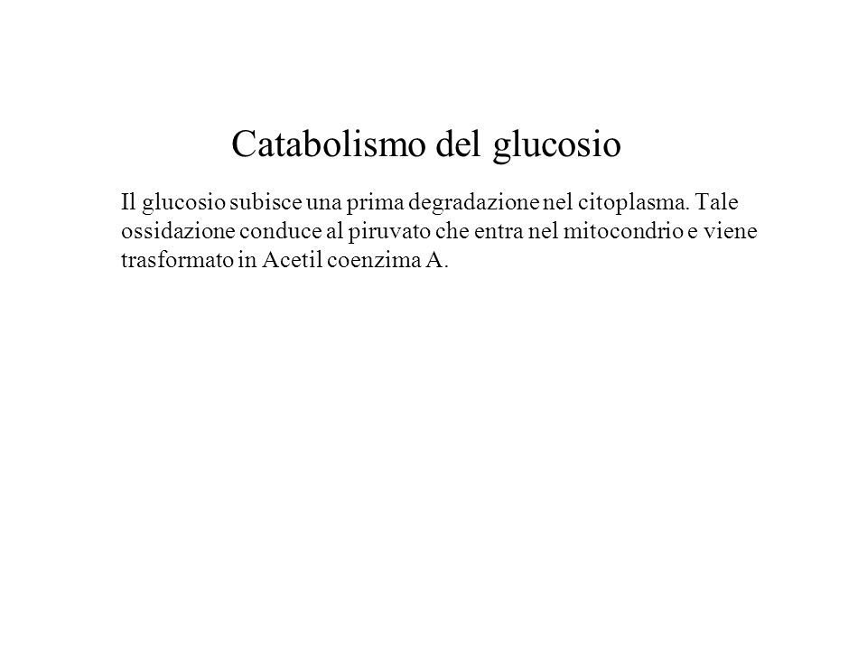 Catabolismo del glucosio