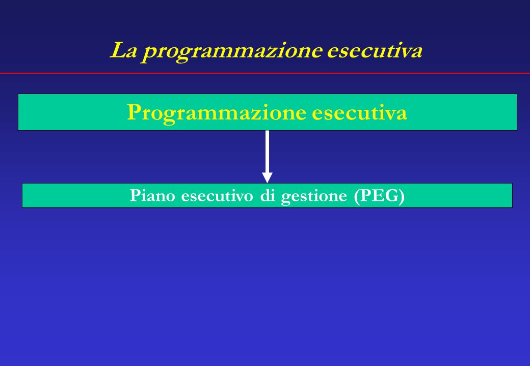 La programmazione esecutiva Programmazione esecutiva