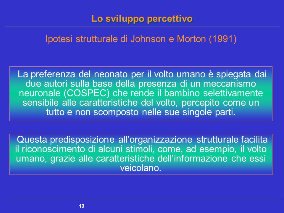 Ipotesi strutturale di Johnson e Morton (1991)