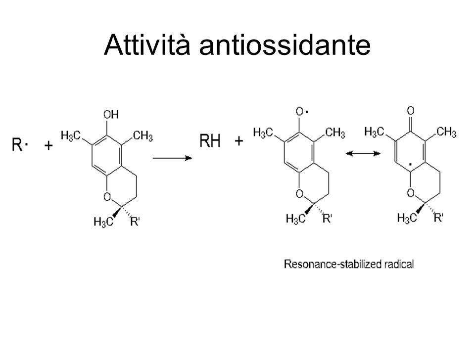 Attività antiossidante