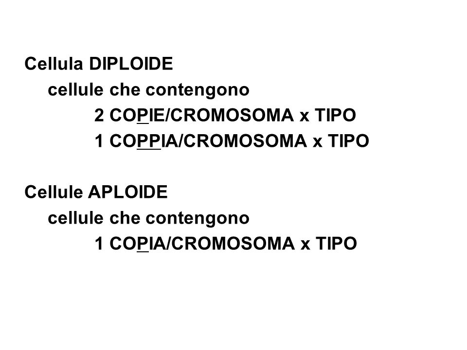 Cellula DIPLOIDE cellule che contengono. 2 COPIE/CROMOSOMA x TIPO. 1 COPPIA/CROMOSOMA x TIPO. Cellule APLOIDE.