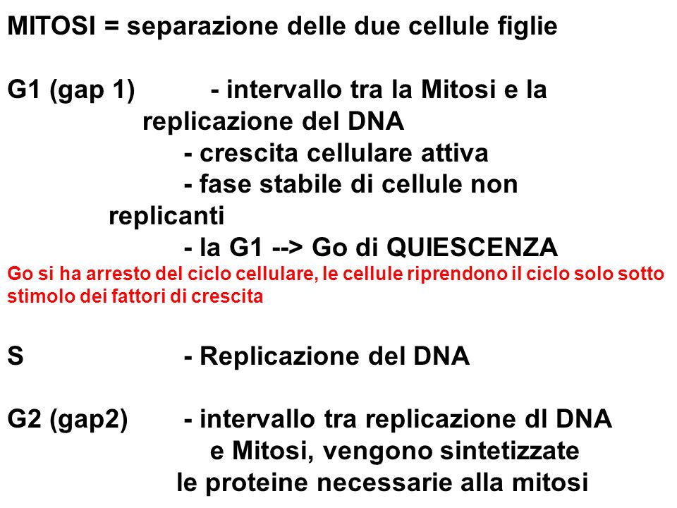 MITOSI = separazione delle due cellule figlie