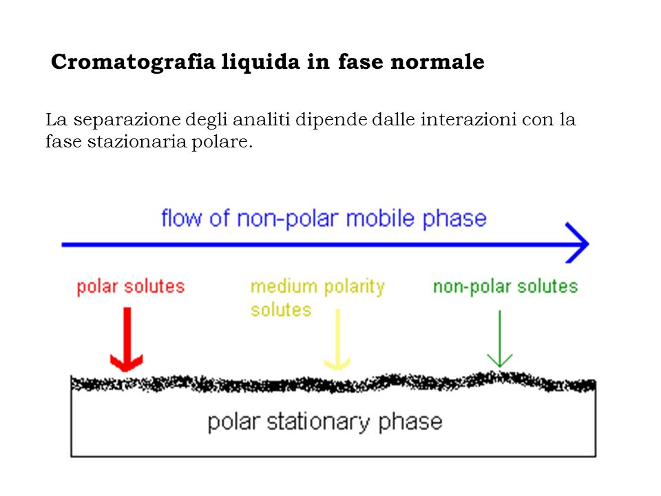 Cromatografia liquida in fase normale