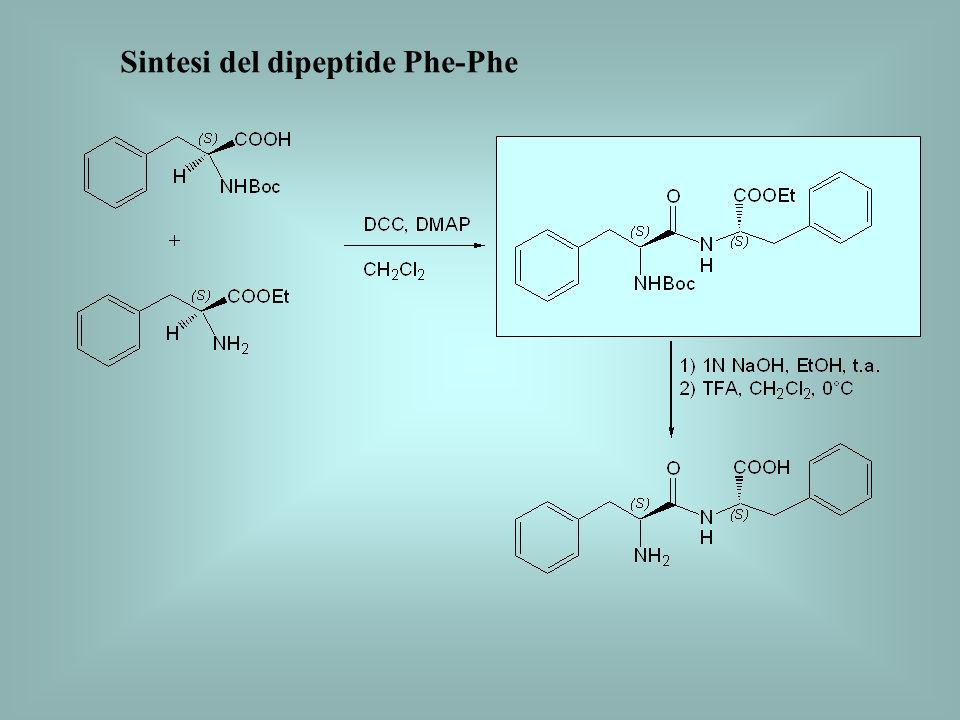 Sintesi del dipeptide Phe-Phe