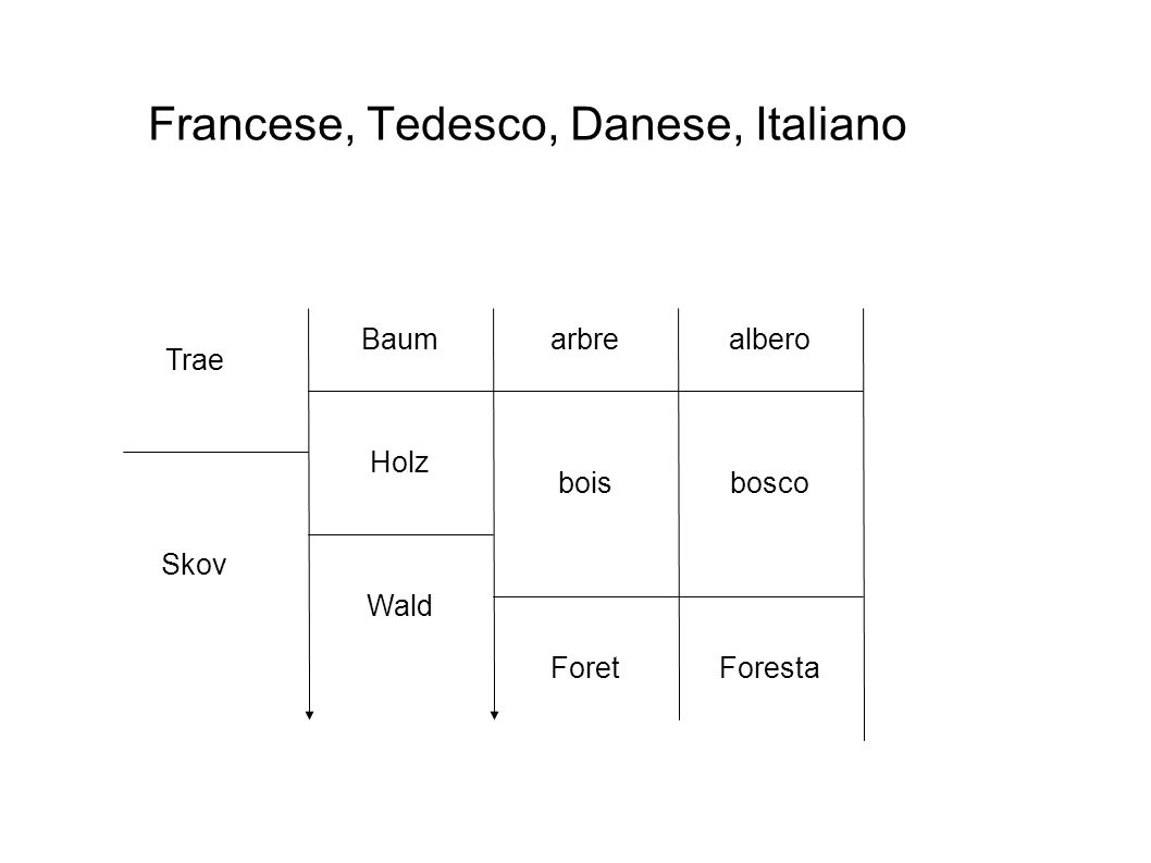 Francese, Tedesco, Danese, Italiano