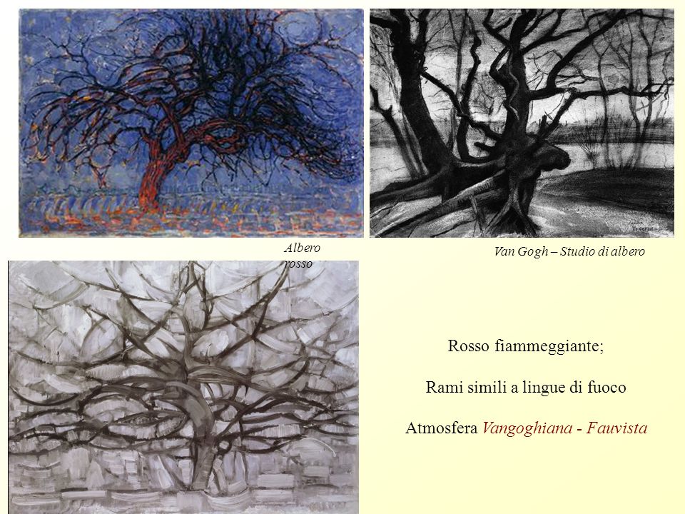 Van Gogh – Studio di albero