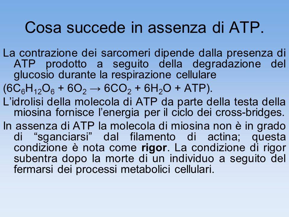 Cosa succede in assenza di ATP.