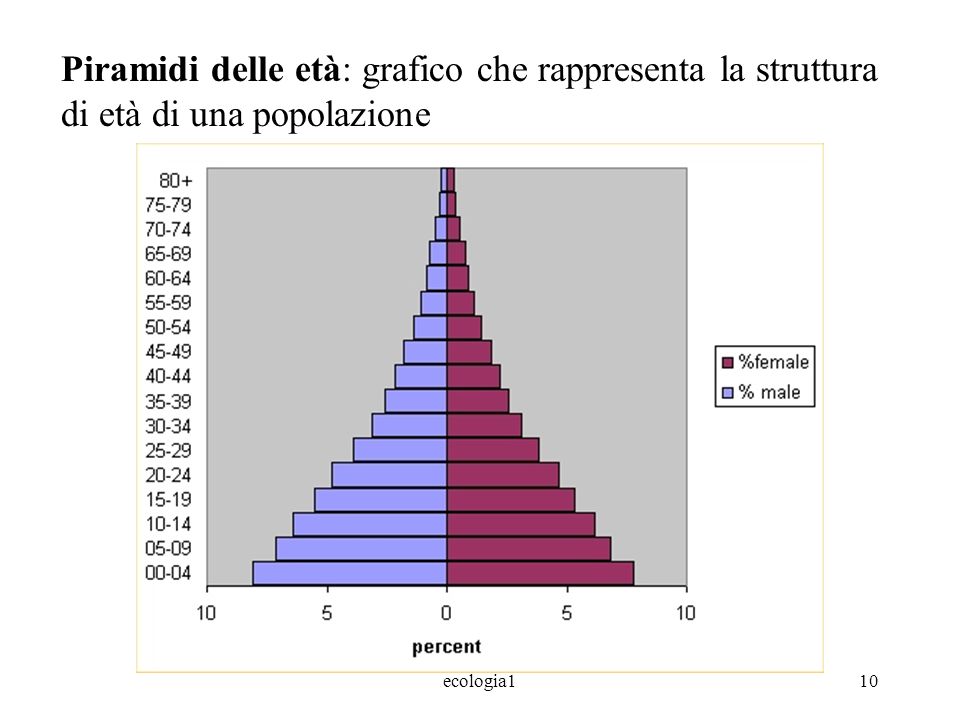 Piramidi delle età: grafico che rappresenta la struttura di età di una popolazione