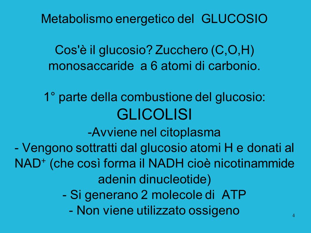 GLICOLISI Metabolismo energetico del GLUCOSIO
