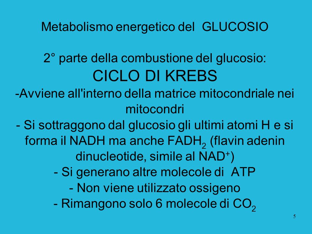 CICLO DI KREBS Metabolismo energetico del GLUCOSIO