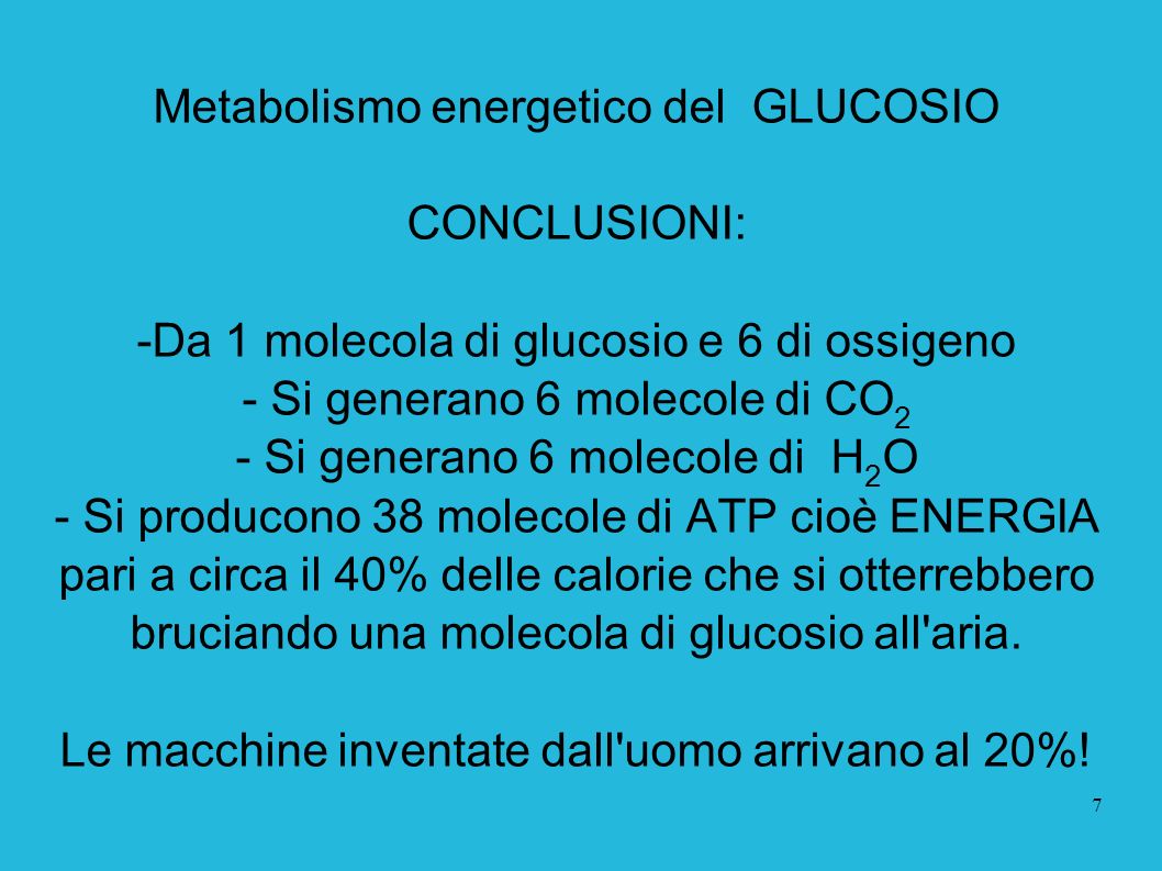 Metabolismo energetico del GLUCOSIO CONCLUSIONI:
