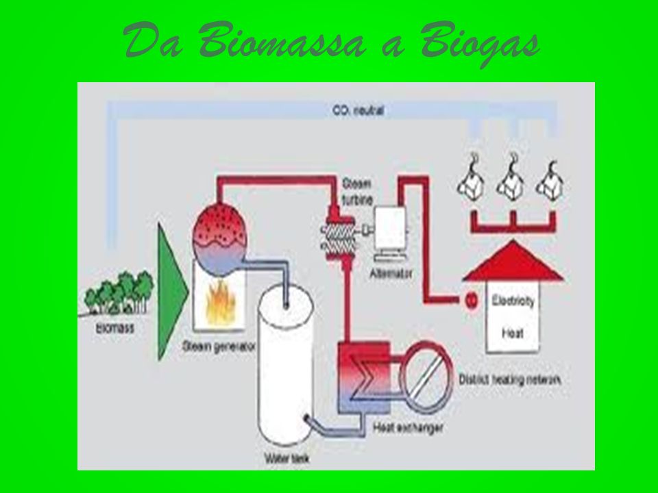 Da Biomassa a Biogas