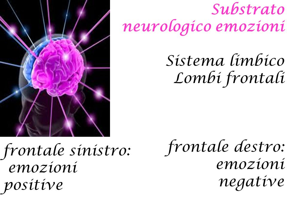 Substrato neurologico emozioni Sistema limbico Lombi frontali frontale destro: emozioni negative