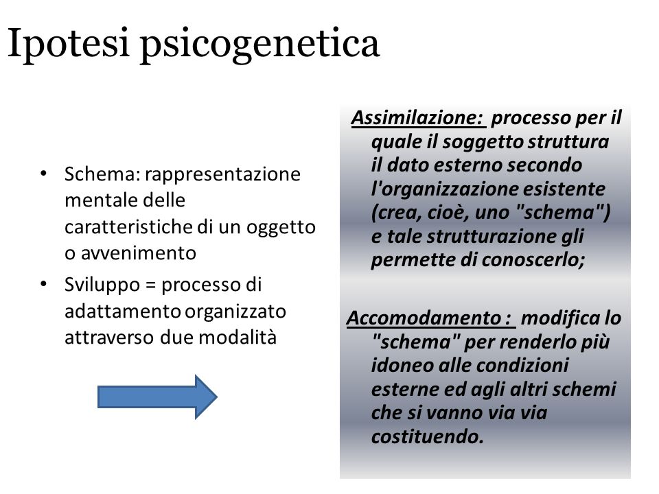 Ipotesi psicogenetica