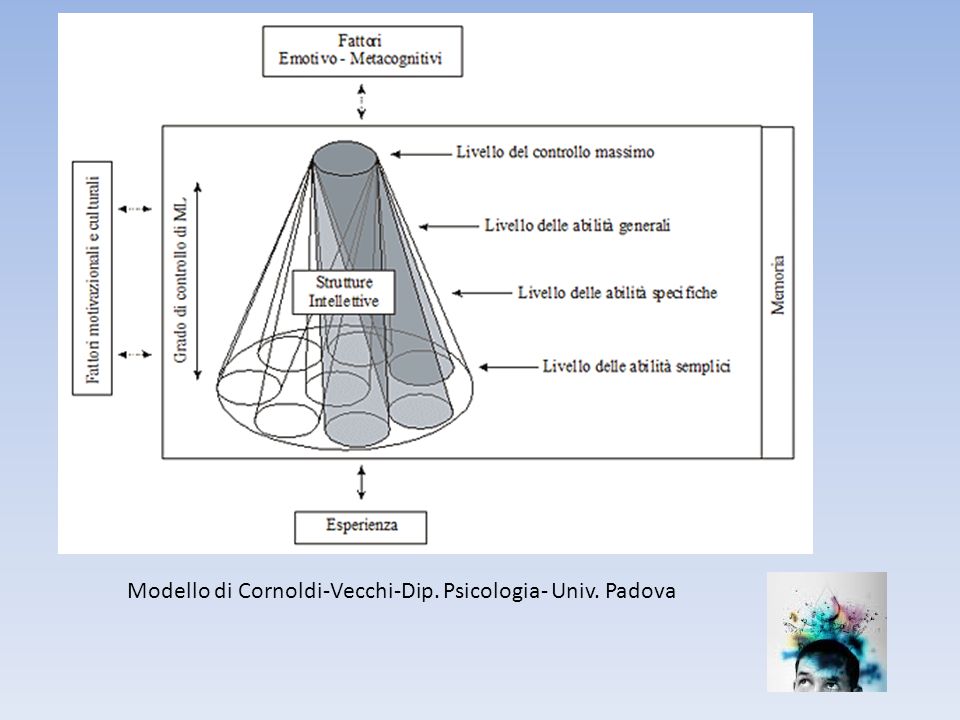 Modello di Cornoldi-Vecchi-Dip. Psicologia- Univ. Padova