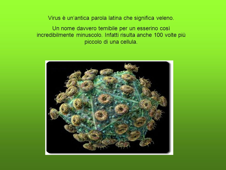 Virus è un’antica parola latina che significa veleno.