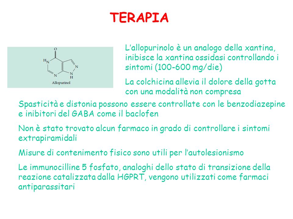 TERAPIA L’allopurinolo è un analogo della xantina, inibisce la xantina ossidasi controllando i sintomi ( mg/die)