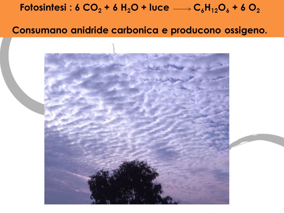 Fotosintesi : 6 CO2 + 6 H2O + luce C6H12O6 + 6 O2