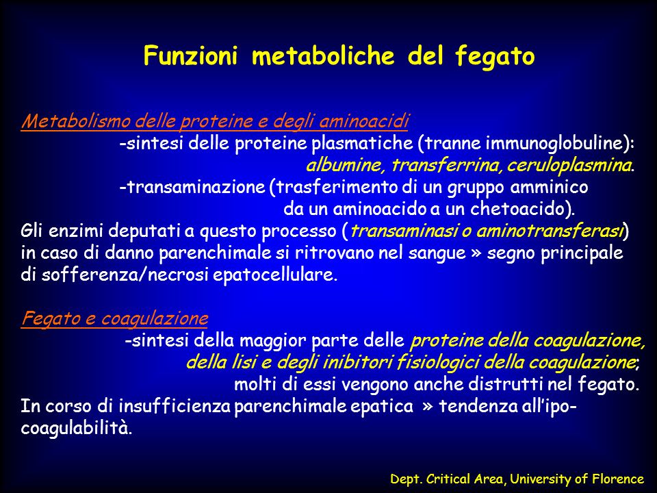 Funzioni Metaboliche Del Fegato