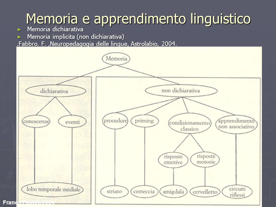 Memoria e apprendimento linguistico