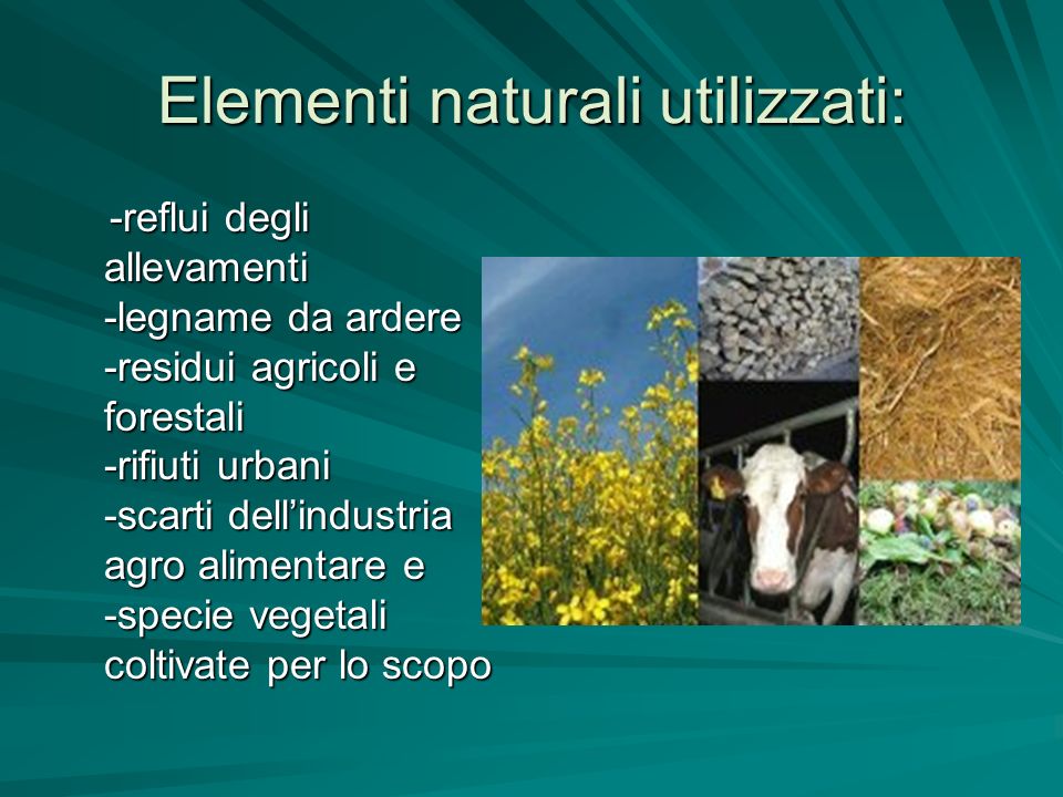 Elementi naturali utilizzati: