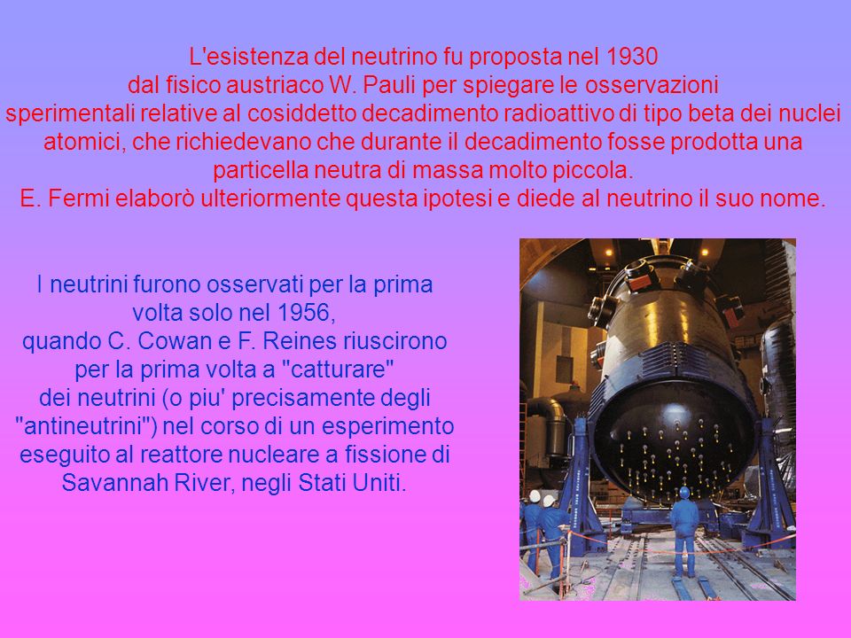 L esistenza del neutrino fu proposta nel 1930