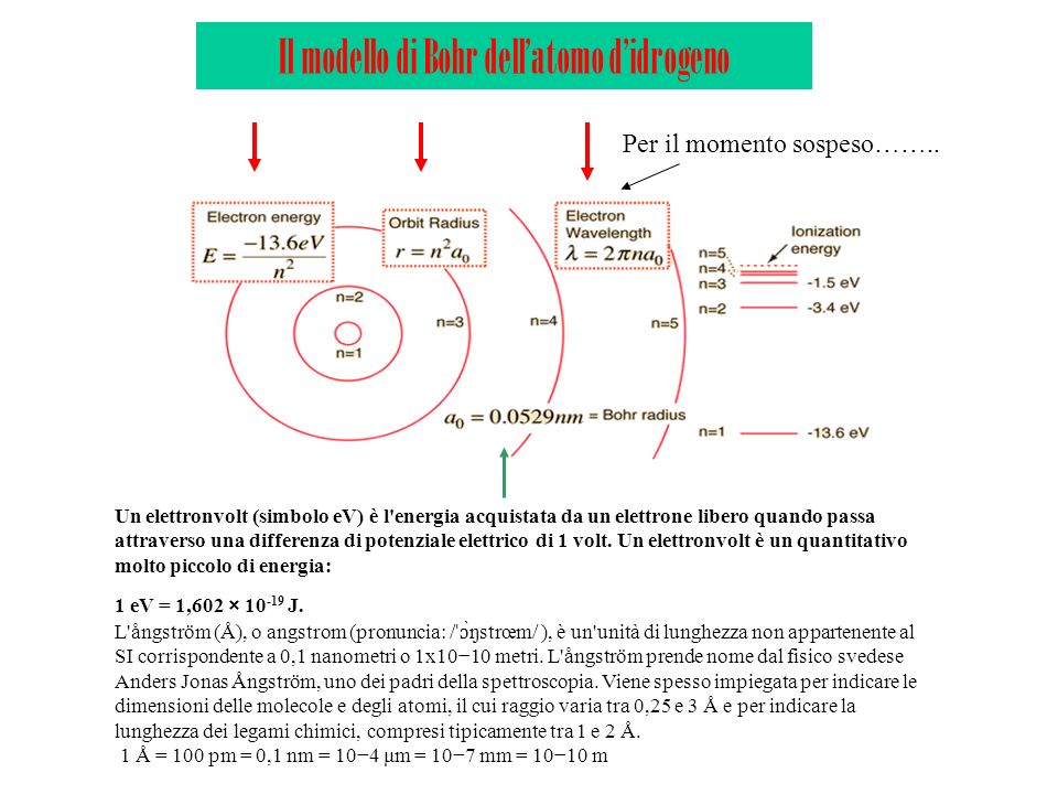 Il modello di Bohr dell’atomo d’idrogeno