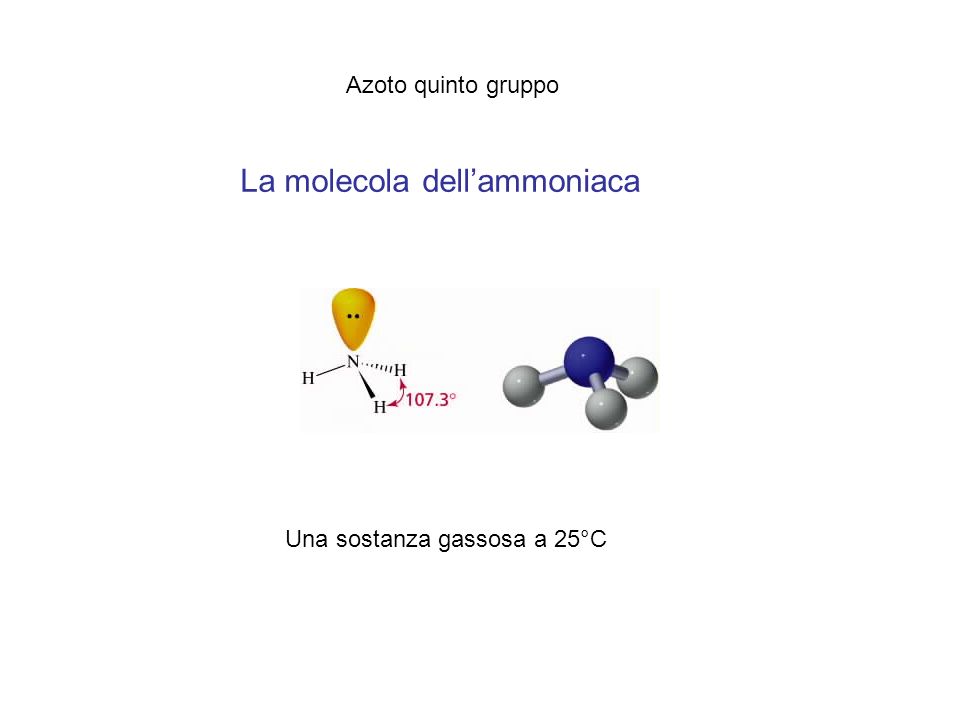 La molecola dell’ammoniaca
