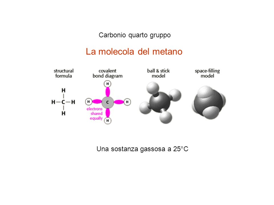 La molecola del metano Carbonio quarto gruppo