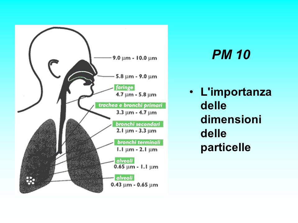 PM 10 L importanza delle dimensioni delle particelle