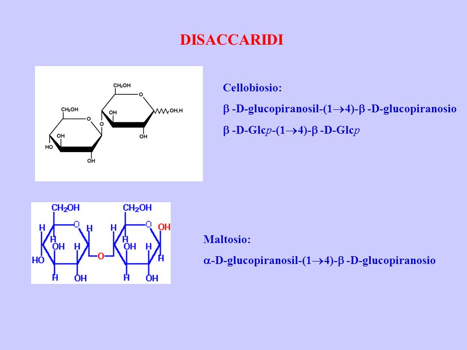 DISACCARIDI Cellobiosio: b -D-glucopiranosil-(14)-b -D-glucopiranosio
