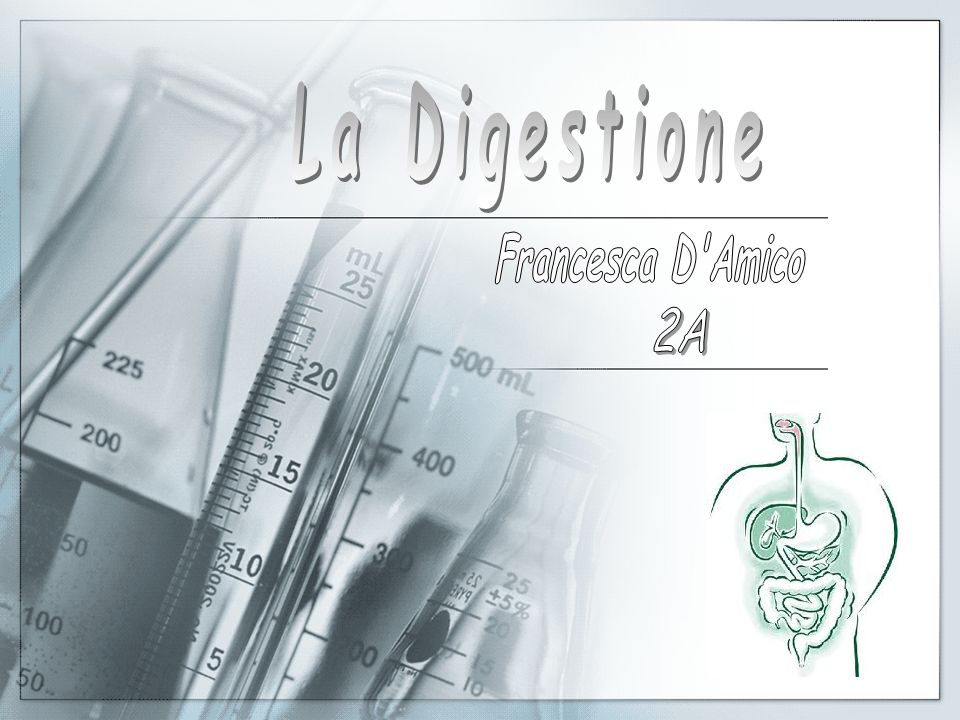 La Digestione Francesca D Amico 2A