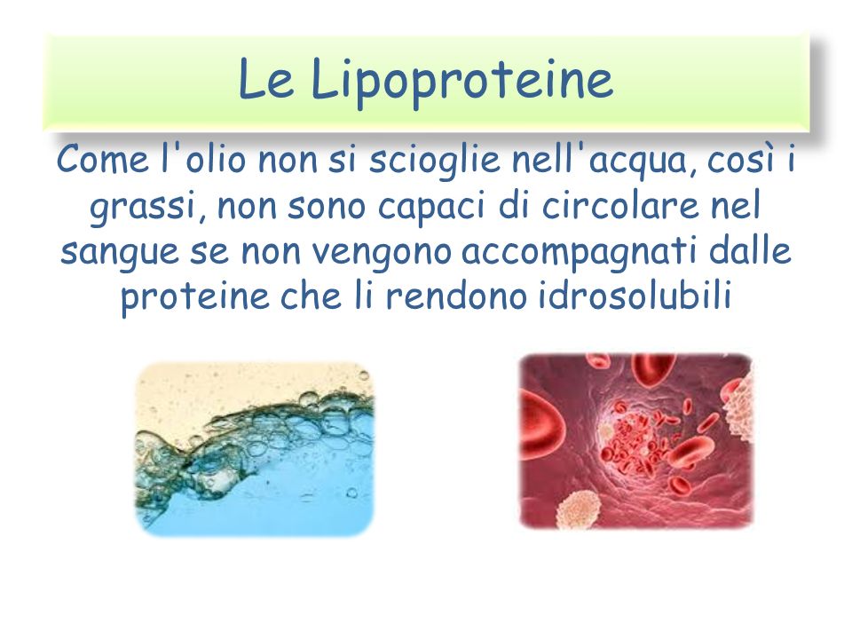 Le Lipoproteine