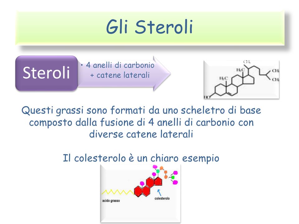 Gli Steroli Steroli. 4 anelli di carbonio + catene laterali.