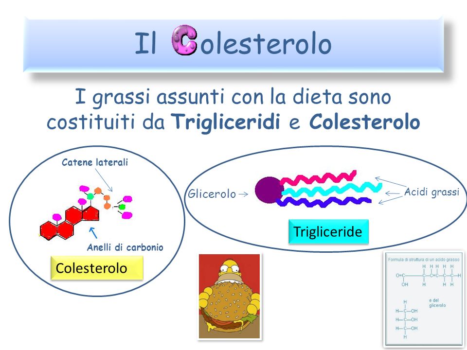 Il olesterolo I grassi assunti con la dieta sono costituiti da Trigliceridi e Colesterolo. Catene laterali.