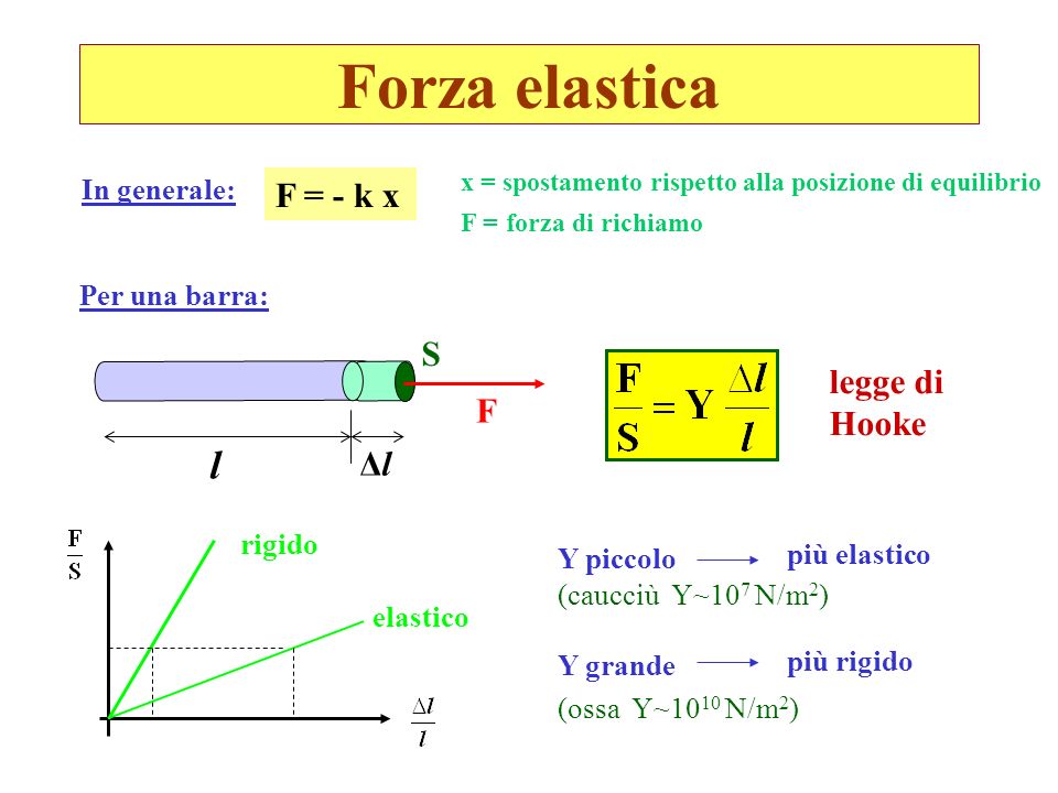 Forza elastica l F = - k x S legge di Hooke F Δl In generale: