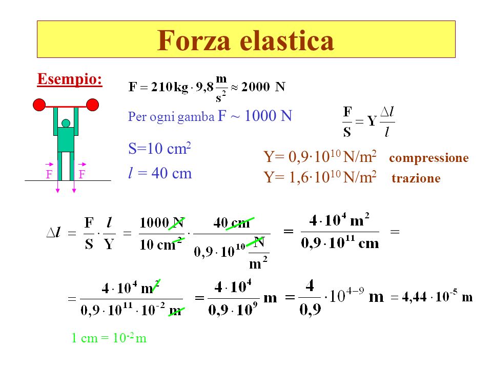Forza elastica = Esempio: S=10 cm2 Y= 0,9·1010 N/m2 compressione