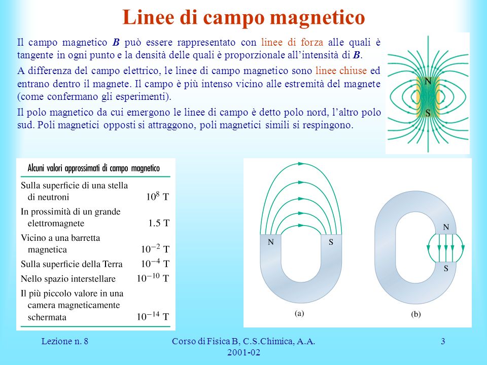 Linee di campo magnetico